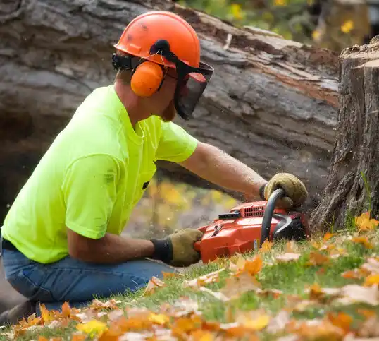 tree services Barrington